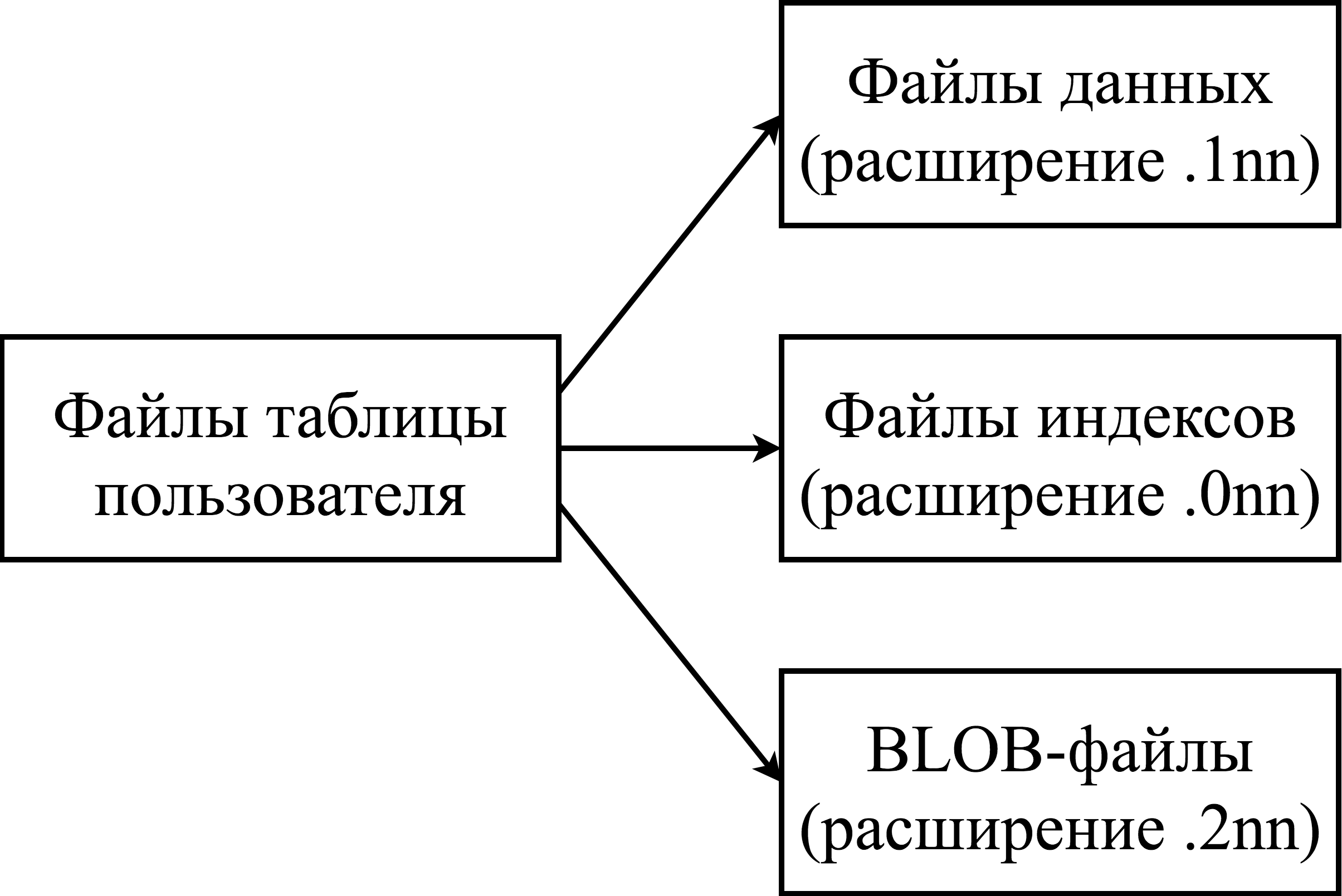 Физическая структура БД ЛИНТЕР