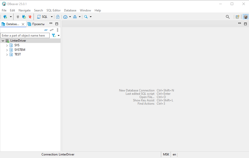 Результат успешного соединения